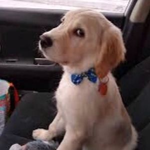 Meet your Posher, Cash